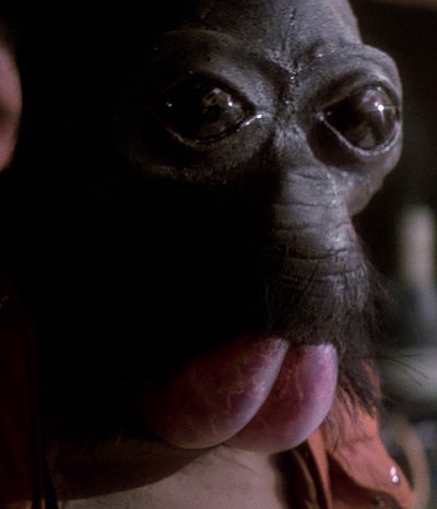 Ponda Baba, Aqualish